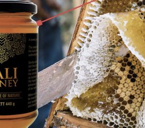 Why Honey Must Be Harvested When It’s Ripe?